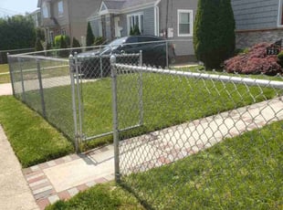 Olivia B.'s turf maintenance service result