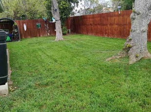 Jewel L.'s turf maintenance service result