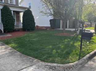 Julien F.'s lawn care services service result