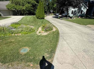 Brad S.'s turf maintenance service result