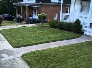 Tom S.'s lawn care services service result