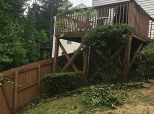 David B.'s Bush Trimming service result