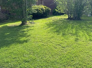 Stephen S.'s grass cutting service result