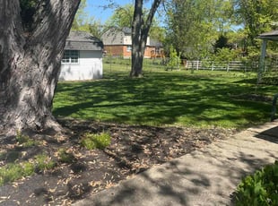 Euronn M.'s lawn care services service result