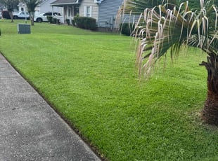 Robert G.'s lawn care service result