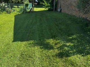 Lanessa L.'s grass maintenance service result