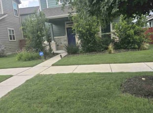 Patsy L.'s lawn care services service result