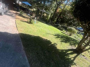 Nana S.'s grass maintenance service result