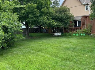 Lesleigh P.'s grass maintenance service result
