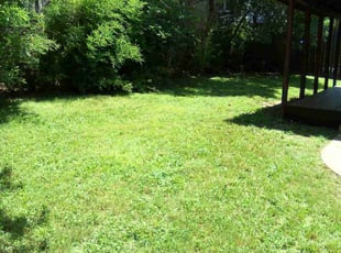Brittany S.'s Cleanups service result