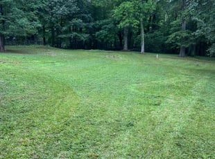 Randy C.'s lawn maintenance service result