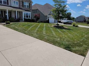 Claudia S.'s turf maintenance service result