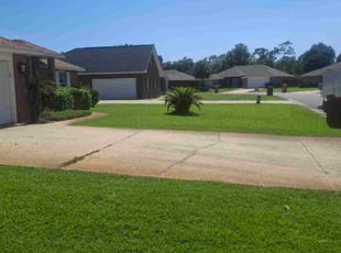 Lamont C.'s grass cutting service result