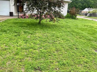 Dylan W.'s grass maintenance service result