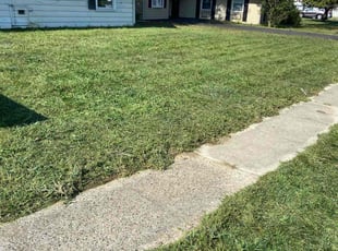 Donna D.'s turf care service result