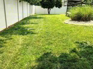 Mercedez R.'s grass cutting service result