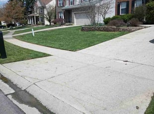 Ricky S.'s turf care service result