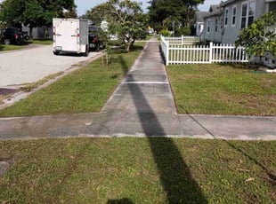 Taunya C.'s grass maintenance service result