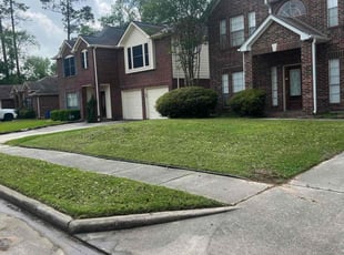 Thom B.'s turf maintenance service result