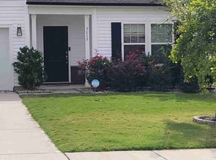 Beatrice B.'s grass maintenance service result