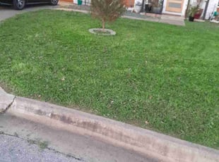 Kim B.'s grass cutting service result