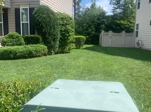 Kacey W.'s lawn service service result