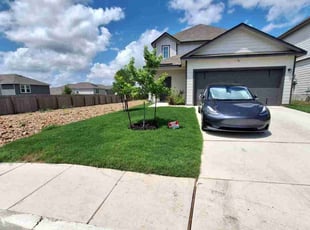 Broderick B.'s grass maintenance service result