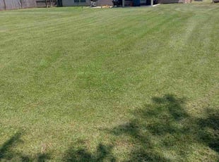 Cory J.'s lawn care services service result