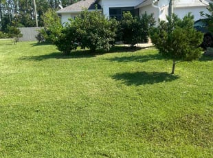 Michelle B.'s turf maintenance service result