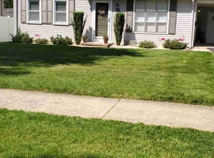 Julie C.'s grass maintenance service result