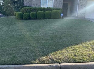 Karen G.'s Bush Trimming service result