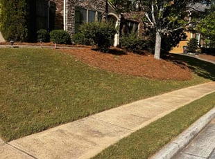 Alethea B.'s lawn care services service result