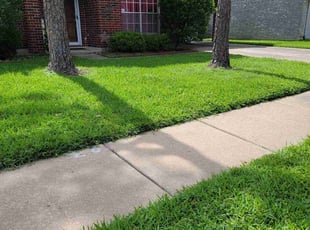Cindi K.'s turf maintenance service result