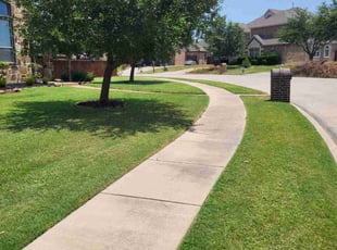 Wallace H.'s turf care service result