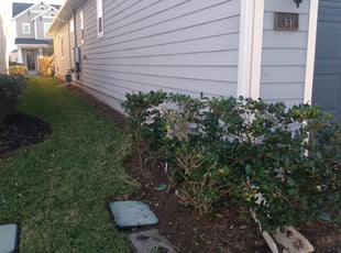 Jennifer I.'s lawn maintenance service result