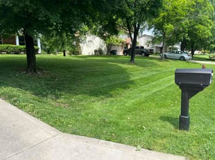 Grant M.'s lawn care services service result