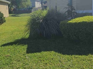 Eileen T.'s lawn service service result