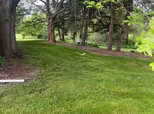 Pratik M.'s lawn maintenance service result