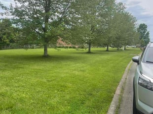 Dawn H.'s lawn service service result