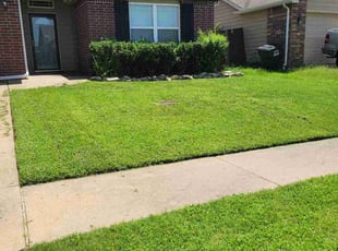 Becky H.'s grass maintenance service result