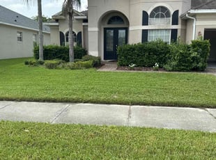 Jacqui B.'s turf care service result