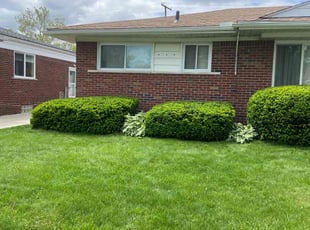 Ben B.'s Bush Trimming service result