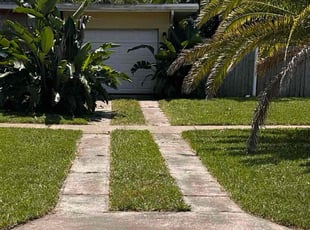 Jacquelyn S.'s turf care service result