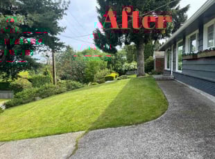 Camellia T.'s grass maintenance service result