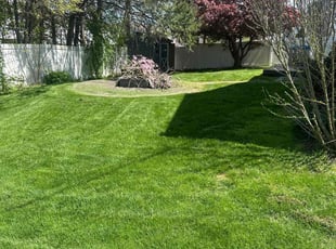 Phyllis F.'s grass maintenance service result
