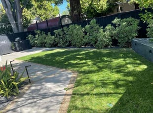 Diane G.'s turf care service result