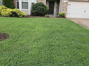 Raymond F.'s grass maintenance service result