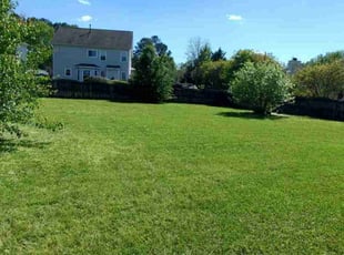 Elizabeth D.'s turf care service result
