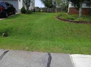 Teresa A.'s grass cutting service result