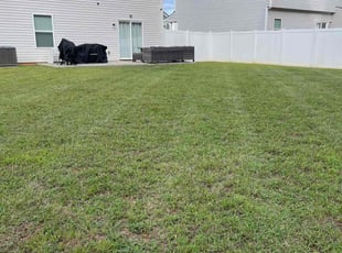 Chris B.'s turf care service result